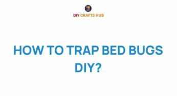 Mastering the Art of DIY Bed Bug Traps: Secrets Unveiled