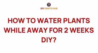 Mastering Plant Care: How to Water Your Plants While Away
