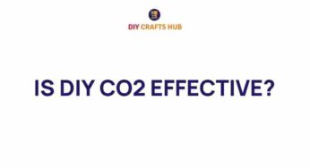 Is DIY CO2 Effective? Discover the Surprising Truth Behind Home Projects