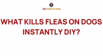 Discover the Secrets: What Kills Fleas on Dogs Instantly?