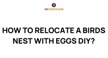 The Art of Safely Relocating a Bird’s Nest: A DIY Guide