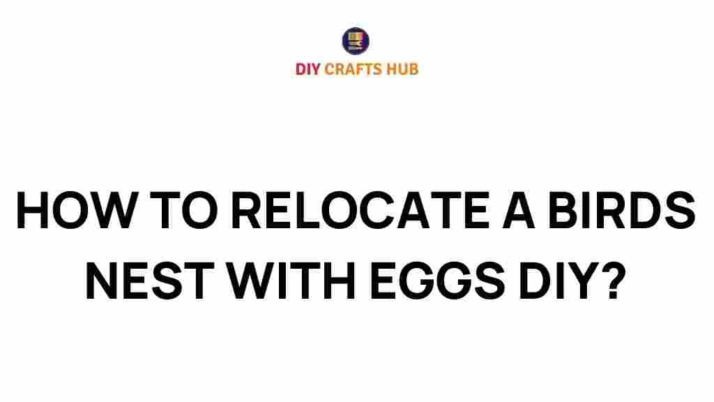 bird-nest-relocation-diy