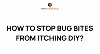 Banish Itch: DIY Remedies to Stop Bug Bites in Their Tracks