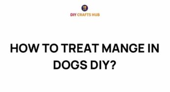 Unraveling the Mystery: How to Treat Mange in Dogs at Home