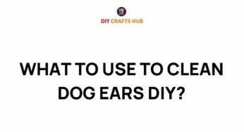 Uncover the Secrets: Effective DIY Solutions for Cleaning Dog Ears