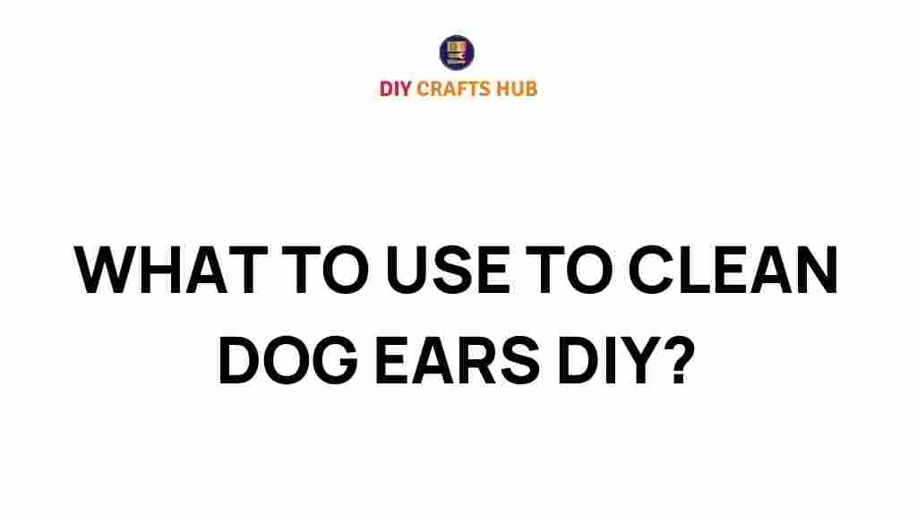 dog-ear-cleaning-diy